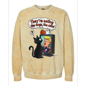 They Are Eating The Dogs The Cats Quote Colorblast Crewneck Sweatshirt