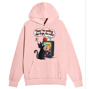 They Are Eating The Dogs The Cats Quote Urban Pullover Hoodie