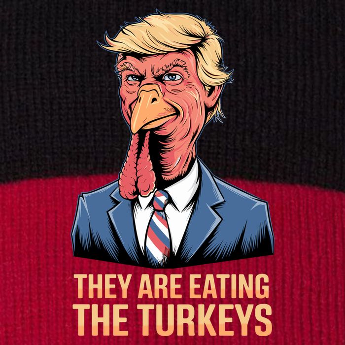 They Are Eating The Turkeys Stripe Pom Pom Beanie