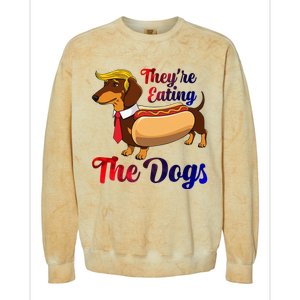 They Are Eating The Dogs Meme Dachshund Donald Trump Debate Colorblast Crewneck Sweatshirt