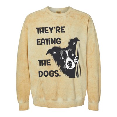 They Are Eating The Dogs Usa Election Trump 2024 Harris Colorblast Crewneck Sweatshirt