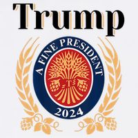 Trump A Fine President 2024 Reelection 2024 Flatbill Hat