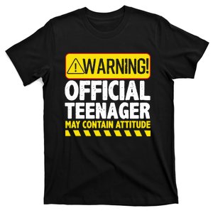 Teenager Art For Boy Girl Teen 13 Year Old Bday T-Shirt