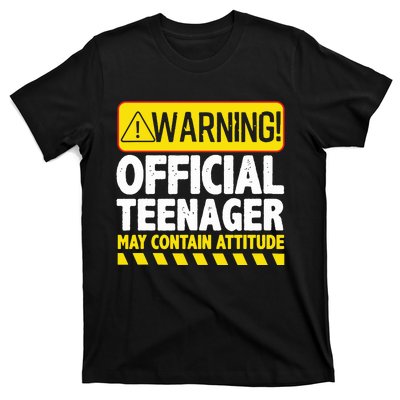 Teenager Art For Boy Girl Teen 13 Year Old Bday T-Shirt