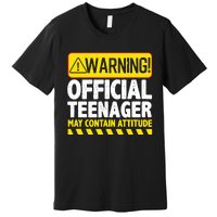 Teenager Art For Boy Girl Teen 13 Year Old Bday Premium T-Shirt