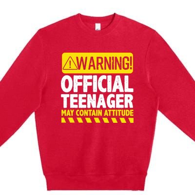 Teenager Art For Boy Girl Teen 13 Year Old Bday Premium Crewneck Sweatshirt