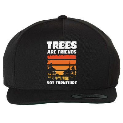 Trees Are Friends Not Furniture Environmentalist Wool Snapback Cap