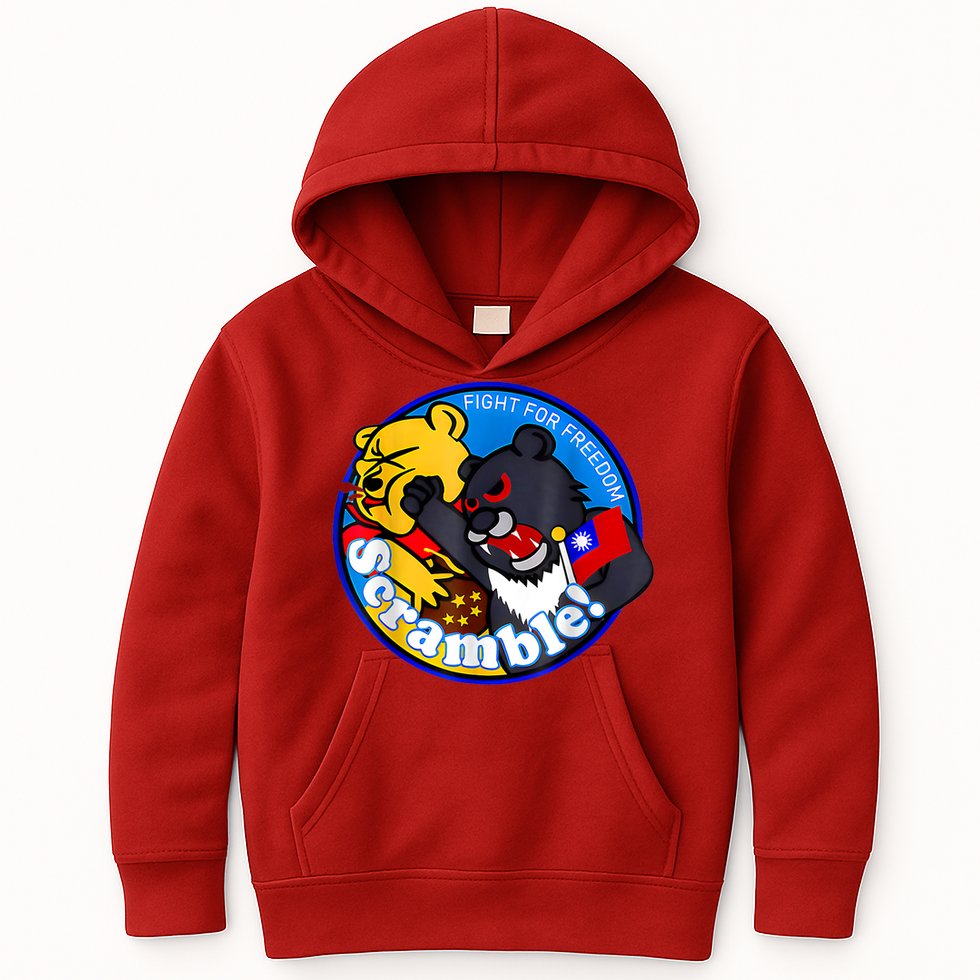Taiwan Air Force Badge Kids Hoodie