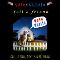 Tell A Friend Cat On A Fence Cats For Kamala Wool Snapback Cap