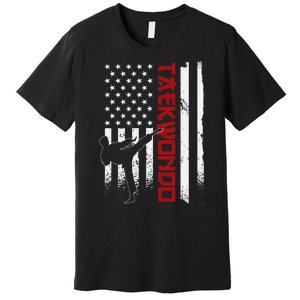 Taekwondo American Flag Taekwondo Fighter Us Flag Premium T-Shirt