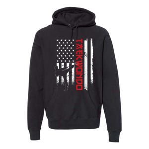 Taekwondo American Flag Taekwondo Fighter Us Flag Premium Hoodie