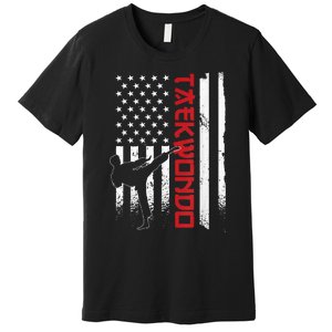 Taekwondo American Flag Taekwondo Fighter Us Flag Premium T-Shirt