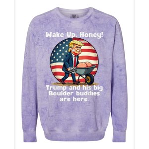 Trump An His Big Boulder Buddies Funny Donald Trump 2024 Colorblast Crewneck Sweatshirt