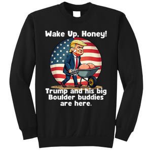 Trump An His Big Boulder Buddies Funny Donald Trump 2024 Sweatshirt