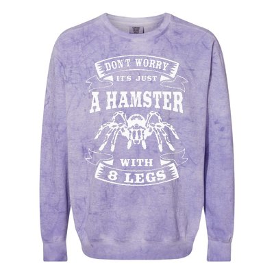 Tarantula Arachnid Hairy Spiders Entomophile Entomologist Colorblast Crewneck Sweatshirt