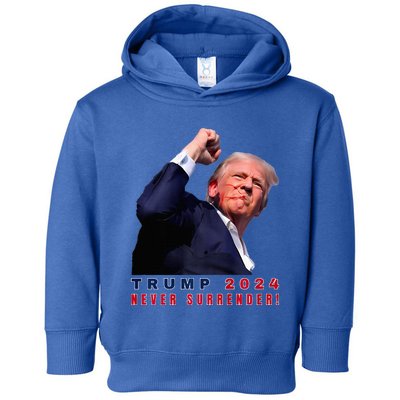 Trump Assassinated Injured In Pennsylvania July 13 2024 Toddler Hoodie