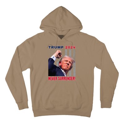 Trump Assassinated Injured In Pennsylvania July 13 2024 Hoodie