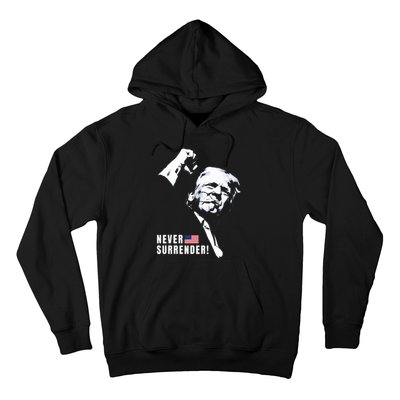 Trump Assassinated Injured In Pennsylvania July 13 2024 Hoodie