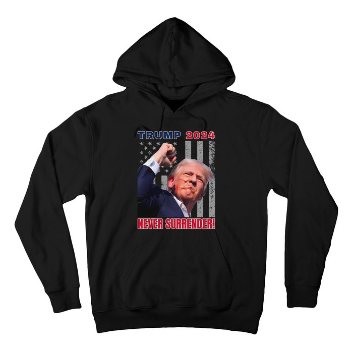 Trump Assassinated Injured Pennsylvania 2024 Design Hoodie