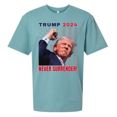 Trump Assassinated Injured Pennsylvania 2024 Design Sueded Cloud Jersey T-Shirt