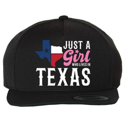 Texan American Just A Who Lives In Texas Cool Gift Wool Snapback Cap