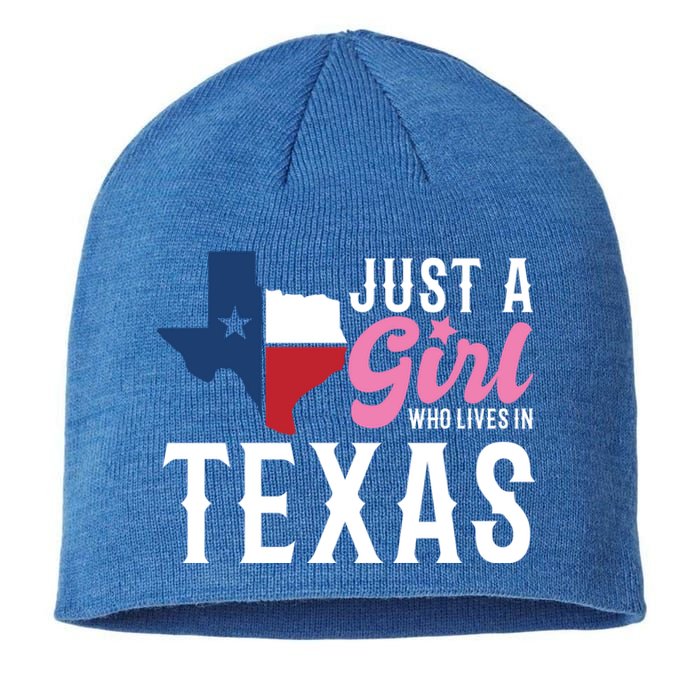 Texan American Just A Who Lives In Texas Cool Gift Sustainable Beanie