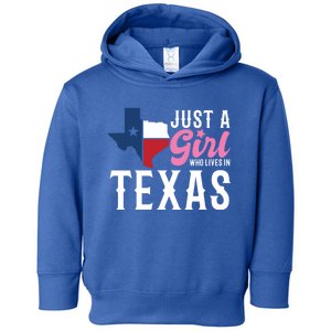 Texan American Just A Who Lives In Texas Cool Gift Toddler Hoodie