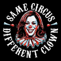 Trump Anti Kamala Harris Same Circus Different Clown Funny Stripe Pom Pom Beanie