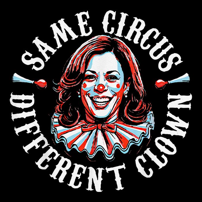 Trump Anti Kamala Harris Same Circus Different Clown Funny Stripe Pom Pom Beanie