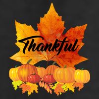 Thankful Autumn Leaves Thanksgiving Fall Adult Drive Performance Visor