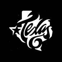 Texas Artistic Logo 16 in Basic Backpack