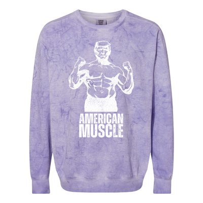 Trump American Muscle Funny Tds Vintage Workout Gym Patriot Gift Colorblast Crewneck Sweatshirt