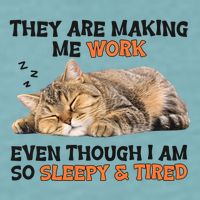 The Are Making Me Work Even Though I Am So Sleepy And Tired Cute Cat Sueded Cloud Jersey T-Shirt
