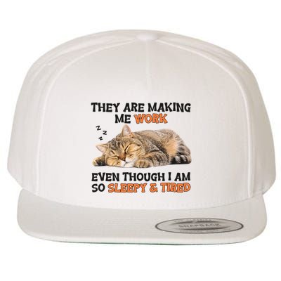 The Are Making Me Work Even Though I Am So Sleepy And Tired Cute Cat Wool Snapback Cap