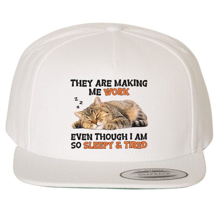 The Are Making Me Work Even Though I Am So Sleepy And Tired Cute Cat Wool Snapback Cap