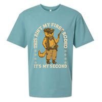 This Ain’T My First Rodeo It’S My Second Sueded Cloud Jersey T-Shirt