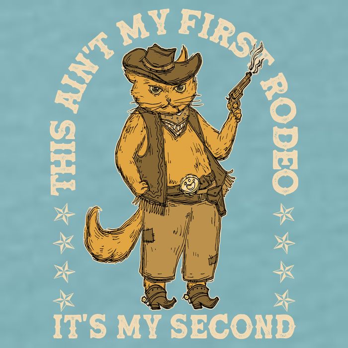 This Ain’T My First Rodeo It’S My Second Sueded Cloud Jersey T-Shirt