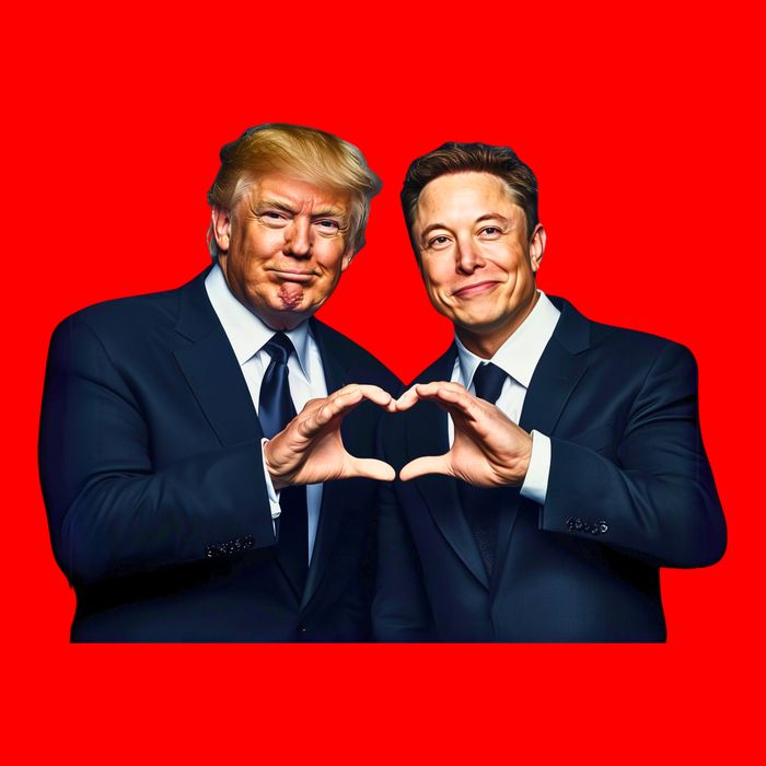 Trump And Musk One Heart Team Funny Toddler T-Shirt