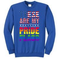 These Are My Pride Flags Us Flag Lgbt Pride Gift Tall Sweatshirt