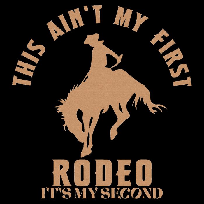 This AinT My First Rodeo ItS My Second Birthday Cowboy City Backpack