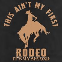 This AinT My First Rodeo ItS My Second Birthday Cowboy Adult Drive Performance Visor
