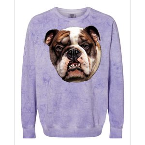 Tan Bulldog Colorblast Crewneck Sweatshirt