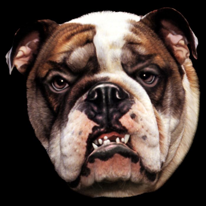 Tan Bulldog Cooling Performance Crew T-Shirt
