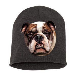 Tan Bulldog Short Acrylic Beanie