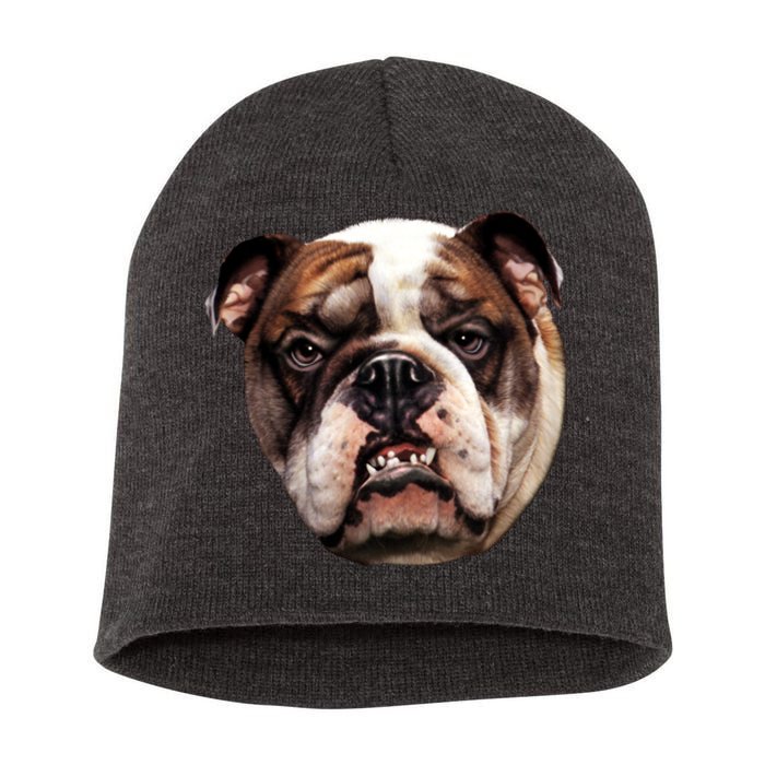 Tan Bulldog Short Acrylic Beanie