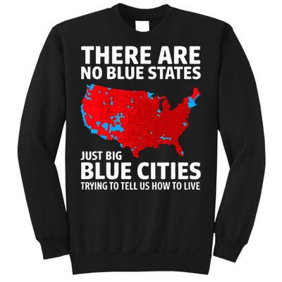 There Are No Blue States Only Big Blue Cities Sweatshirt