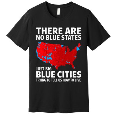 There Are No Blue States Only Big Blue Cities Premium T-Shirt