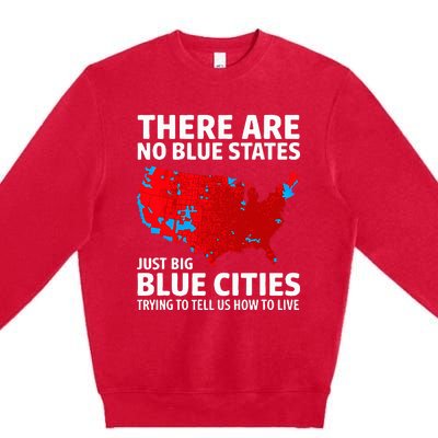 There Are No Blue States Only Big Blue Cities Premium Crewneck Sweatshirt