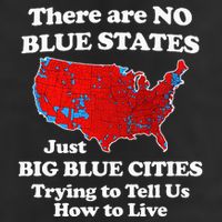 There Are No Blue States Only Big Blue Cities 7 Panel Mesh Trucker Snapback Hat