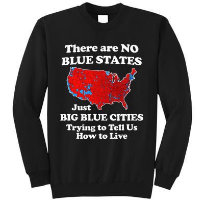 There Are No Blue States Only Big Blue Cities Sweatshirt